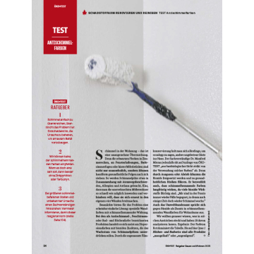 Test: Antischimmelfarben