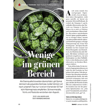 Gefrorene Rahmspinatportionen in einem Topf, grün und würfelförmig, bereit zum Kochen