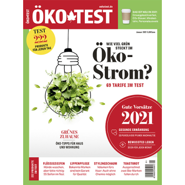 Magazin Januar 2021: Wie viel Grün steckt im Öko-Strom?