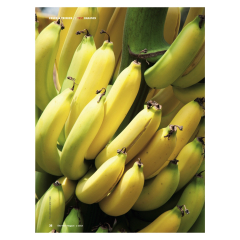 Test: Bananen